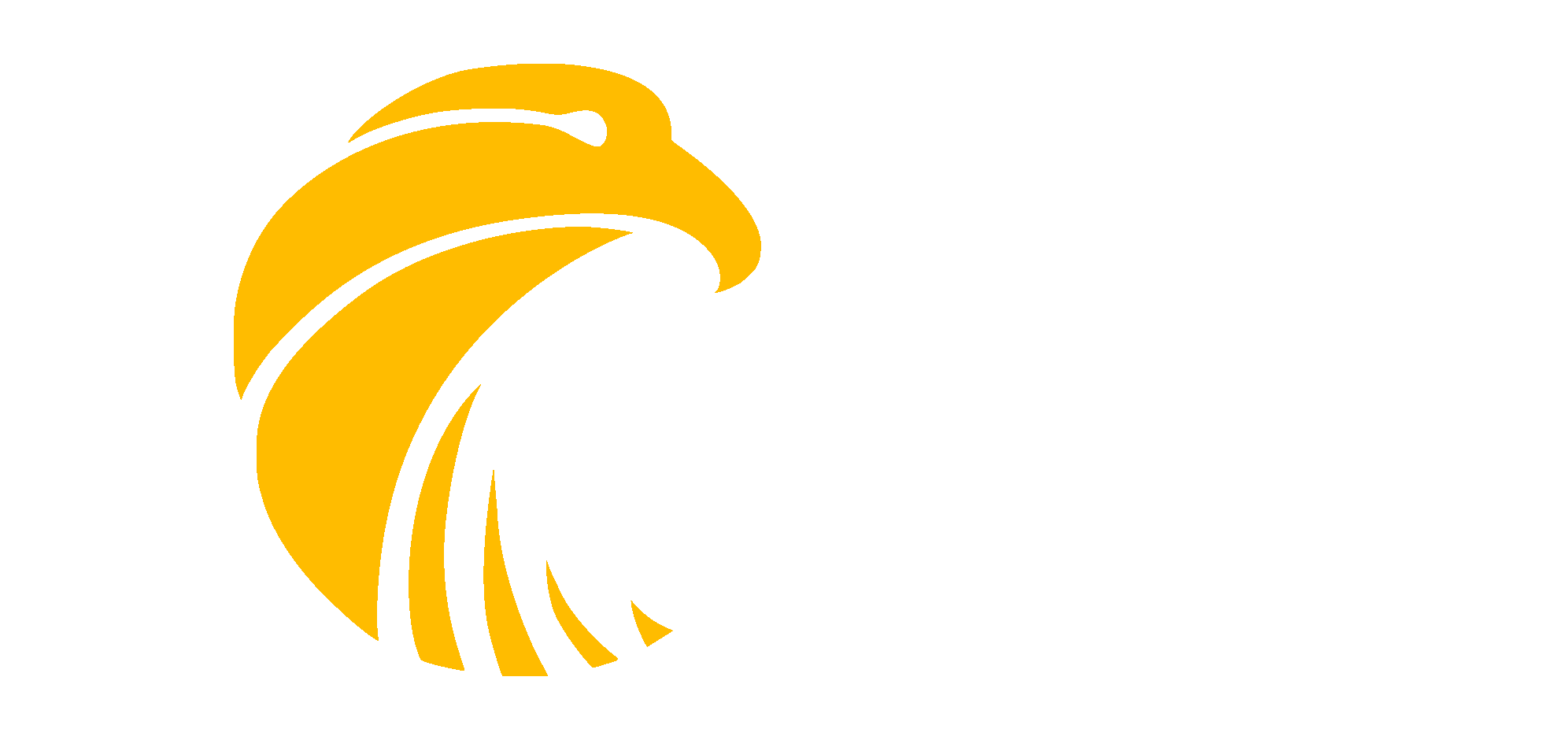 Falcon Tower Cranes Shop